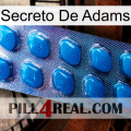 Adams Secret viagra1